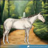 Horse Color:White Spotted Brown Snowdrop Pearl Dun Sabino Rabicano