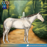 Horse Color:White Spotted Brown Snowdrop Pearl Dun Sabino Rabicano 