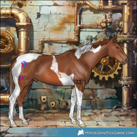 Horse Color:Chestnut Tobiano