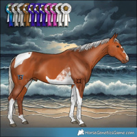 Horse Color:Chocolate Silver Bay Tobiano