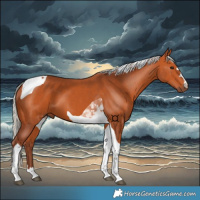 Horse Color:Chocolate Silver Bay Tobiano