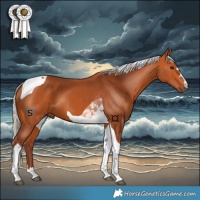 Horse Color:Chocolate Silver Bay Tobiano 