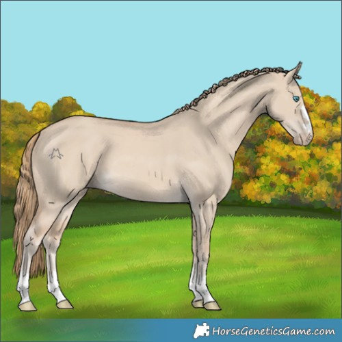 Horse Color:Smoky Creme Dun