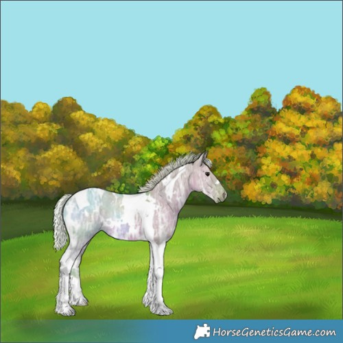 Horse Color:Watercolor White Spotted Silver Grullo Ice Tobiano 