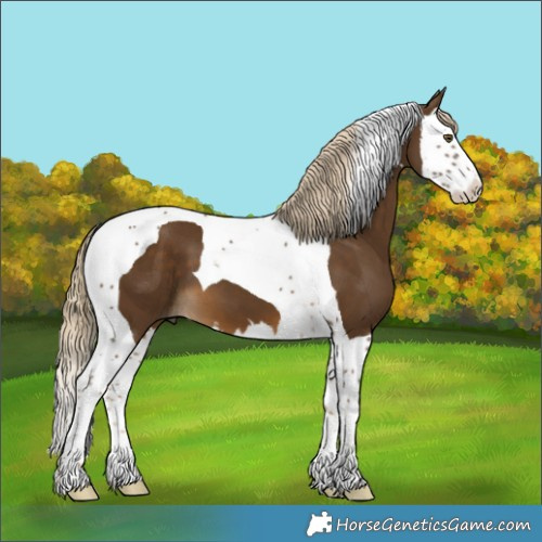 Horse Color:Chocolate Palomino Splash Tobiano 