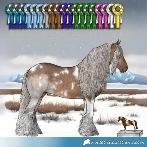 Horse Color:White Spotted Silver Brown Dun Tobiano 