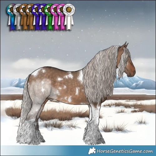 Horse Color:White Spotted Silver Brown Dun Tobiano 