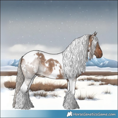Horse Color:White Spotted Silver Brown Dun Tobiano 