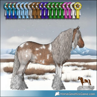 Horse Color:White Spotted Silver Brown Dun Tobiano 