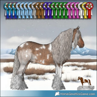 Horse Color:White Spotted Silver Brown Dun Tobiano 