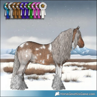 Horse Color:White Spotted Silver Brown Dun Tobiano