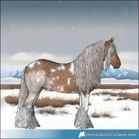 Horse Color:White Spotted Silver Brown Dun Tobiano 