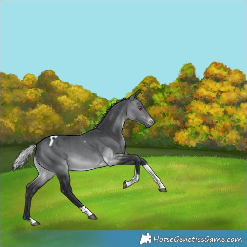 Horse Color:Silver Brown Chinchilla Tobiano 