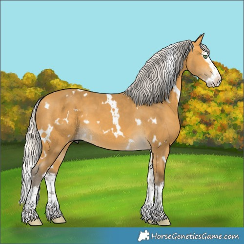 Horse Color:White Spotted Silver Buckskin Splash 