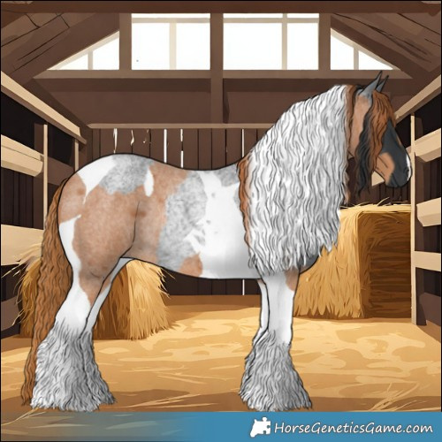 Horse Color:Blue Roan Tobiano Rabicano  and Red Roan Tobiano Rabicano 