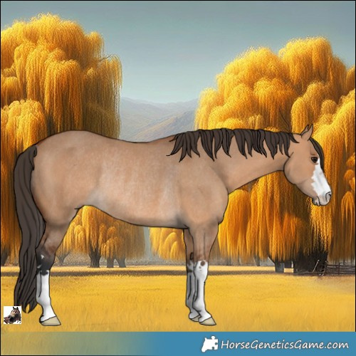 Horse Color:Bay Dun Rabicano