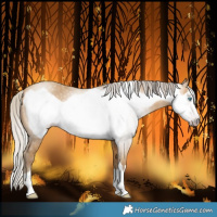 Horse Color:Gray Silver Amber Cream Champagne Frame 