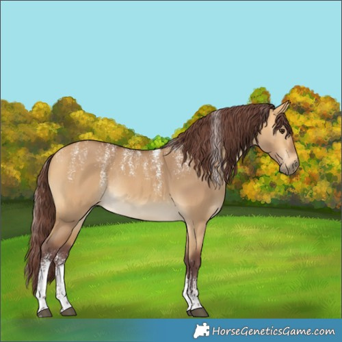 Horse Color:Powder White Chocolate Buckskin Dun Rabicano 