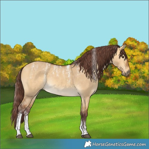Horse Color:Powder White Chocolate Buckskin Dun Rabicano