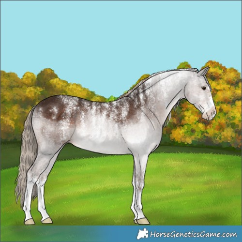 Horse Color:Powder White Liver Chestnut 