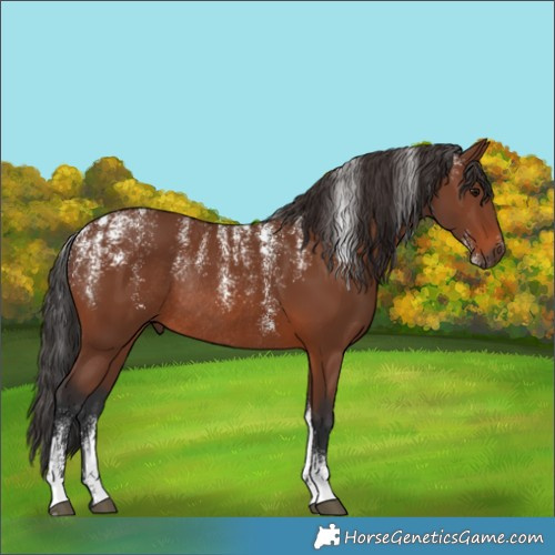 Horse Color:Powder White Brown Rabicano 