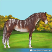 Horse Color:Powder White Chocolate Brown 