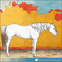 Horse Color:Red Dun Splash Tobiano Blanket