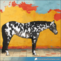 Horse Color:Gray Black Near Leopard 