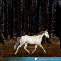 Horse Color:White Spotted Brown Snowdrop Pearl Dun Tobiano Rabicano 