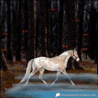 Horse Color:Liver Chestnut Snowdrop Pearl Tobiano Appaloosa Rabicano