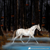 Horse Color:White Spotted Liver Red Dun Pearl Tobiano Rabicano 