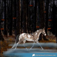 Horse Color:White Spotted Brown Dun Tobiano Blanket Rabicano