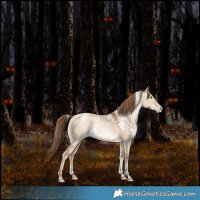 Horse Color:White Spotted Liver Red Dun Snowdrop Pearl Tobiano Rabicano