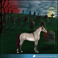 Horse Color:Bay Dun Tobiano Varnish Rabicano