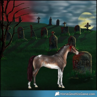 Horse Color:Bay Tobiano Varnish Rabicano 