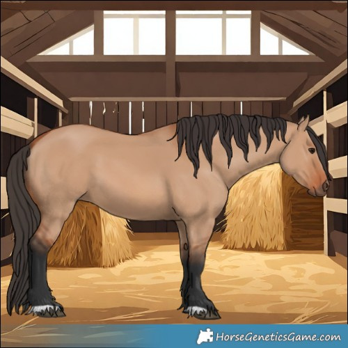 Horse Color:Bay Dun 