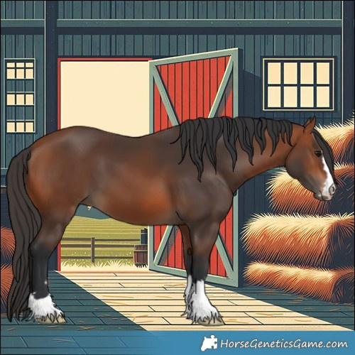 Horse Color:Bay 