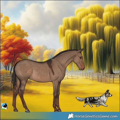 Horse Color:Liver Red Dun