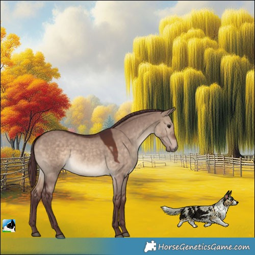 Horse Color:Chocolate Brown Dun