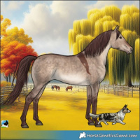 Horse Color:Chocolate Brown Dun 