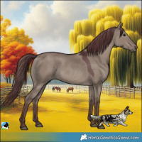 Horse Color:Chocolate Grullo