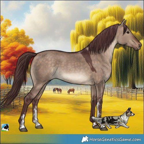 Horse Color:Chocolate Brown Dun Sabino 