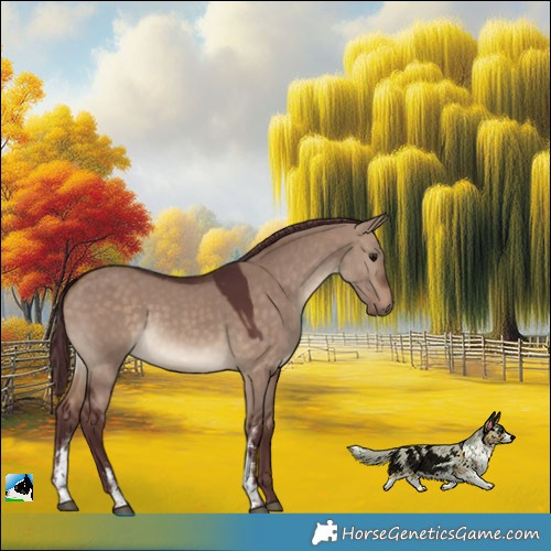Horse Color:Chocolate Brown Dun Sabino