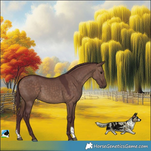 Horse Color:Chocolate Bay Dun Sabino