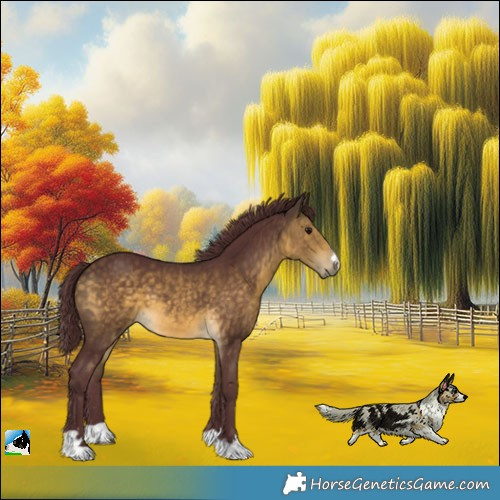 Horse Color:Chocolate Buckskin 