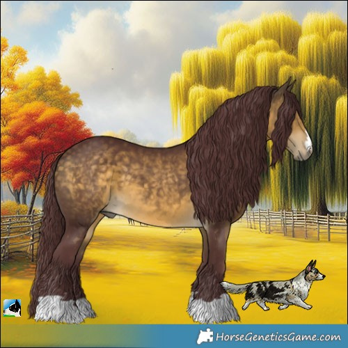 Horse Color:Chocolate Buckskin 
