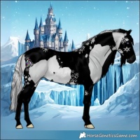 Horse Color:Void Silver Bay Chinchilla Splash Tobiano 