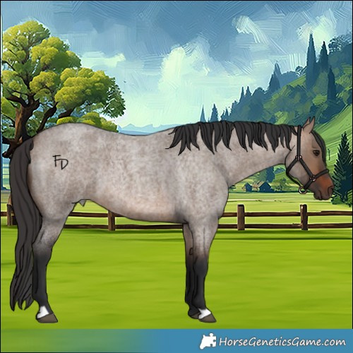 Horse Color:Brown Roan Dun 