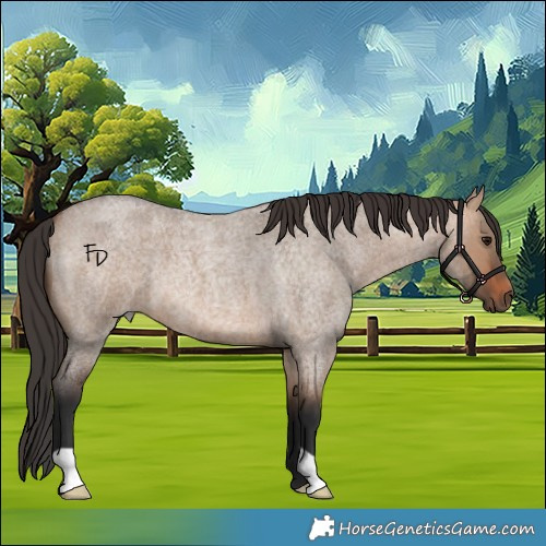 Horse Color:Bay Roan Dun 