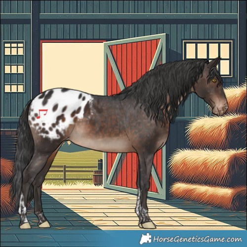 Horse Color:Brown Tobiano Appaloosa 